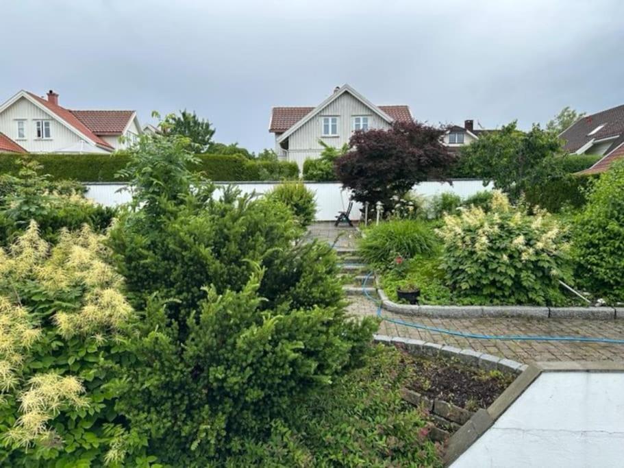 Hagevegen 3 A, Appartement